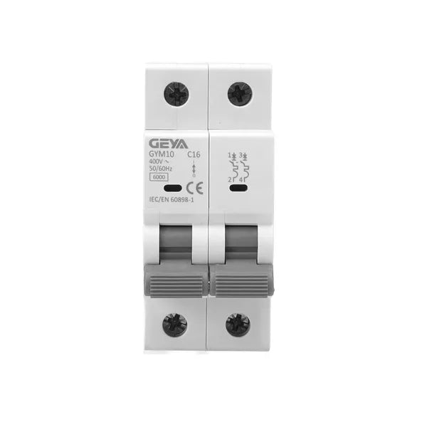 GEYA GYM10-6kA-2P in Pakistan - 20A